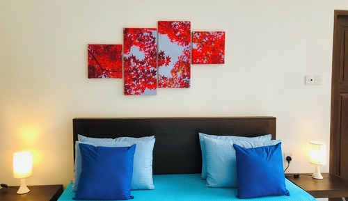Habitación básica doble, 1 cama doble