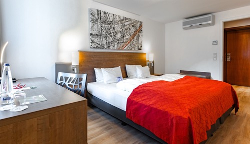 Habitación estándar doble, 1 habitación