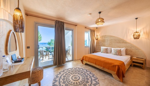 1+1 Suite Room