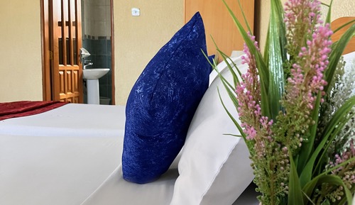 Habitación clásica con 2 camas individuales