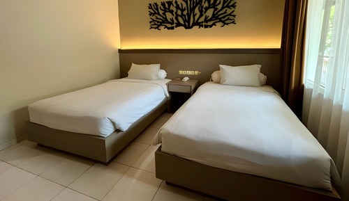 Habitación Deluxe con 2 camas individuales