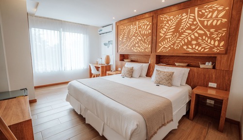 Habitación estándar con 1 cama doble o 2 individuales