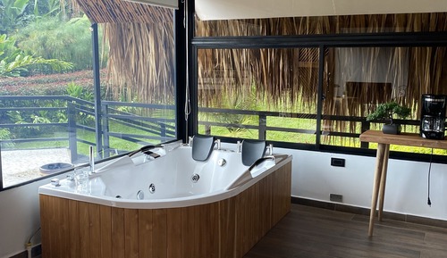 Habitación Deluxe, 1 cama de matrimonio grande, bañera de hidromasaje