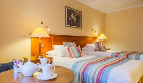 Standard Twin Room