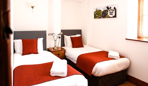 Habitación familiar con 1 cama doble o 2 individuales