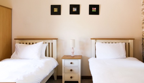 Habitación Deluxe con 2 camas individuales