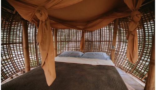 Dormitorio compartido tradicional (Bamboo Birdsnest Level 2 Sleeping Pod)