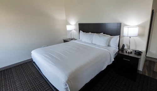 Suite ejecutiva, 1 cama de matrimonio grande con sofá cama, no fumadores (King)