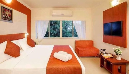 Habitación Deluxe con 1 cama doble o 2 individuales