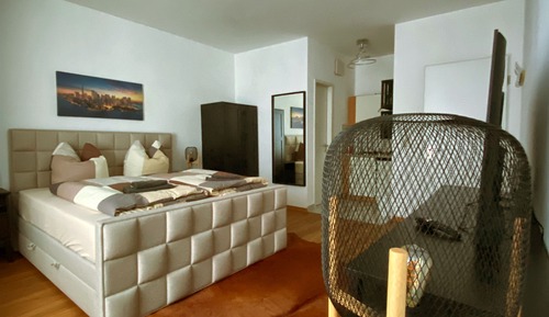 Habitación Deluxe con 1 cama doble o 2 individuales