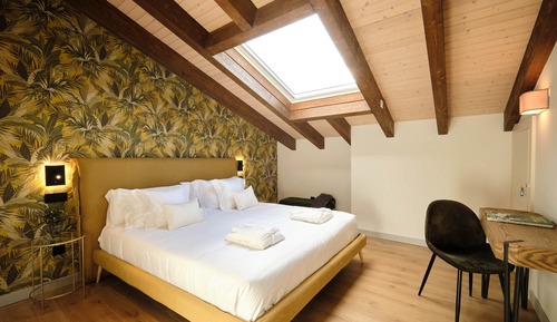 Habitación Premium