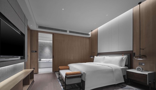 Suite, 1 cama de matrimonio grande
