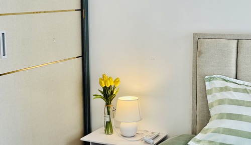 Estudio estándar