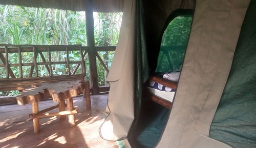 Habitación estándar con 1 cama doble o 2 individuales