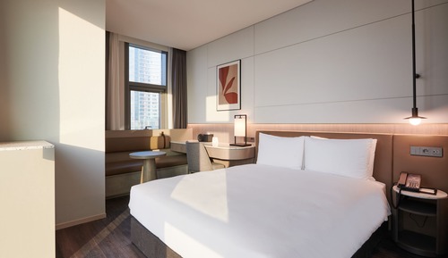Habitación estándar doble (Han River View)