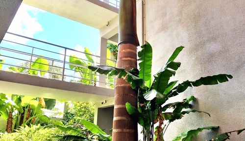 Apartamento Confort