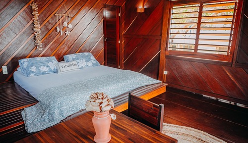 Casa Deluxe en un árbol