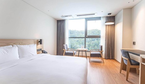 Habitación doble, 1 cama de matrimonio
