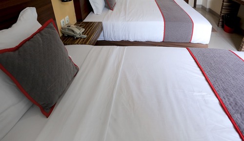 Habitación Deluxe con 2 camas individuales