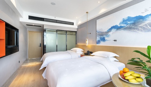 Habitación Deluxe con 2 camas individuales