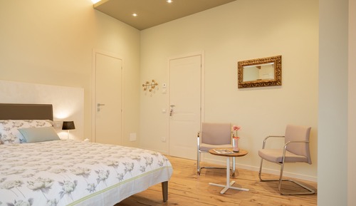Habitación Confort, baño privado, vistas al jardín