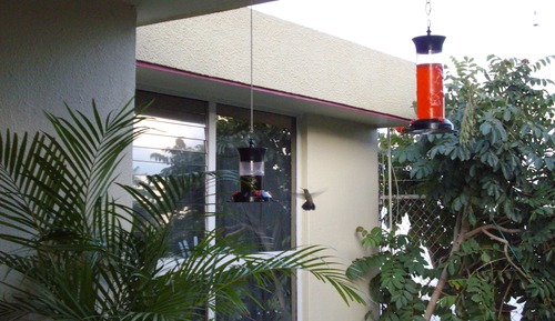 Suite Signature, 2 camas de matrimonio, cocina, en la zona del jardín