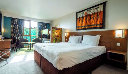 Safari Twin room with bunk beds& Wanyama View