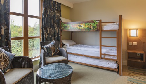 Safari Accessible twin room