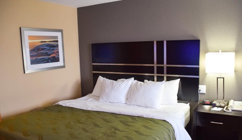 Habitación estándar, 1 cama de matrimonio, no fumadores, vistas al río
