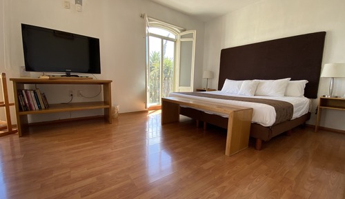 Habitación junior, vistas al parque