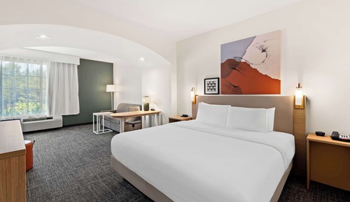 Habitación, 1 cama de matrimonio grande con sofá cama