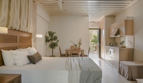 Habitación Deluxe con 1 cama doble o 2 individuales