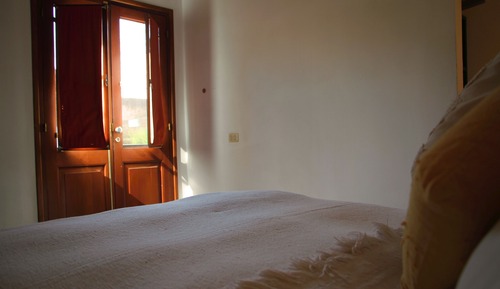 Habitación estándar, vistas al jardín
