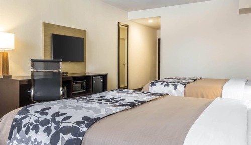 Habitación, 2 camas de matrimonio, accesible para personas con discapacidad