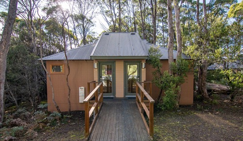 Estudio (Guest Room - Wilderness)