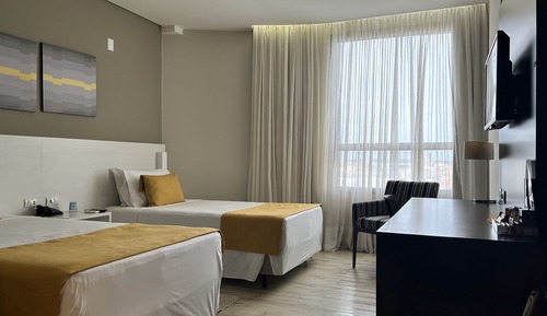 Habitación ejecutiva con 2 camas individuales