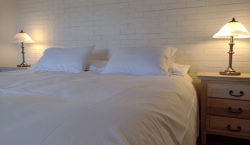 Habitación estándar, 1 cama de matrimonio grande (#3)