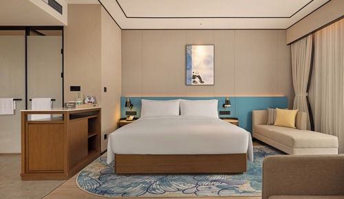 Suite Deluxe, 1 cama de matrimonio grande