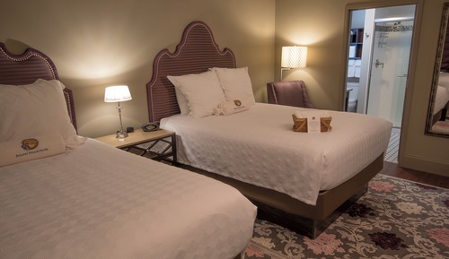 Habitación Deluxe con 1 cama doble o 2 individuales