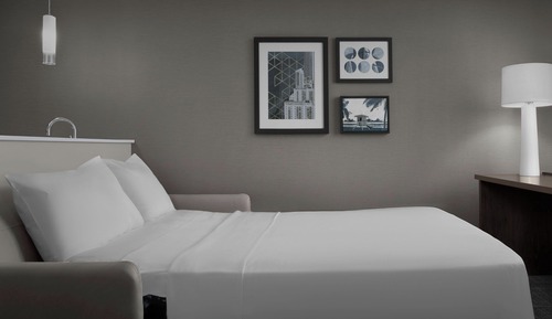 Estudio, 1 cama de matrimonio grande con sofá cama (Mobility Accessible, Roll-In Shower)