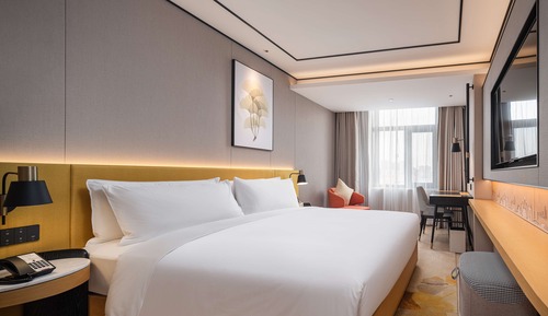 Habitación básica, 1 cama de matrimonio grande