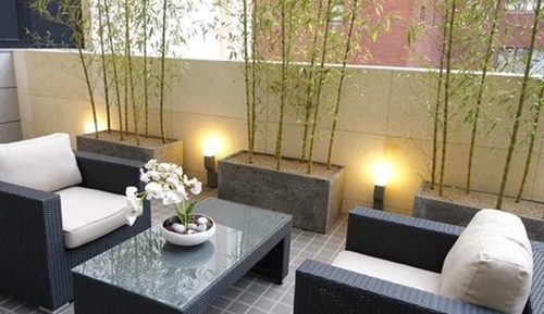 Suite, terraza