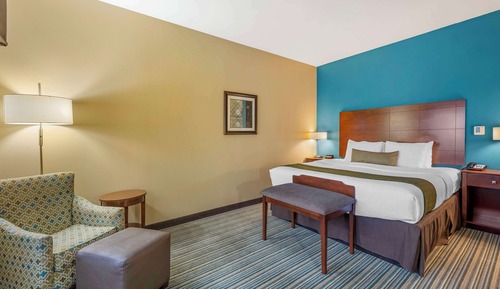 Habitación estándar, 1 cama de matrimonio grande, accesible para personas con discapacidad