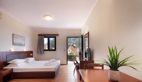 Estudio estándar, vistas al jardín