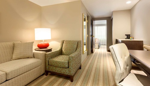 Suite, 1 habitación, no fumadores, vistas al lago