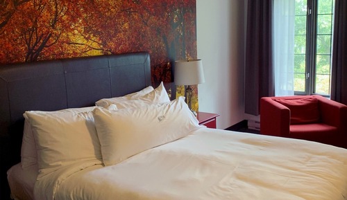 Room, 1 Queen Bed, Partial River View