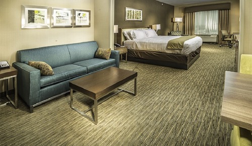 Suite, 1 cama de matrimonio grande (Additional Living Area)
