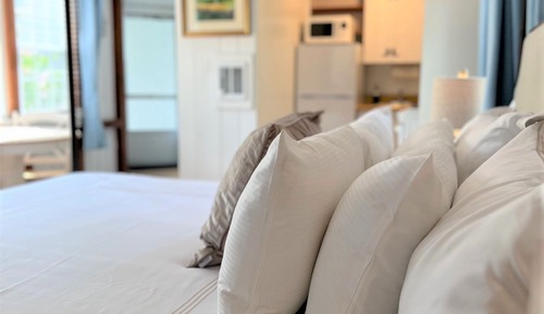 Deluxe King Suite, 1 King Bed w/ Kitchen, Non Smoking, 2 guests - pets allowed w/ fee