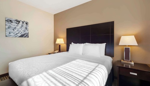 Suite, 1 cama de matrimonio grande, no fumadores, frigorífico y microondas (Larger Room)