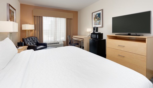 Habitación estándar, 1 cama de matrimonio grande, accesible para personas con discapacidad (Hearing)